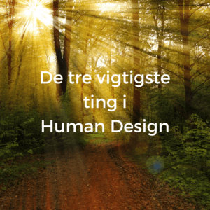 Read more about the article De tre vigtigste ting i Human Design