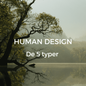 Read more about the article Human Design – De 5 typer